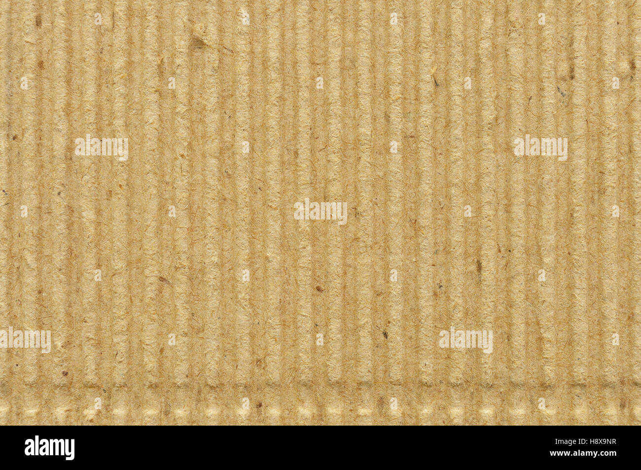 Corrugated cardboard goffer paper texture, bright rough old recycled goffered crimped textured blank empty grunge copy space Stock Photo