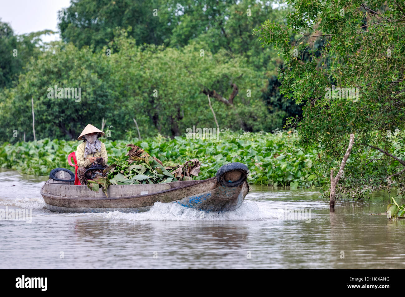woman transporting bananas to the market in a sampan boat on the Mekong River in Cai Be, Mekong Delta, Vietnam, Asia Stock Photo
