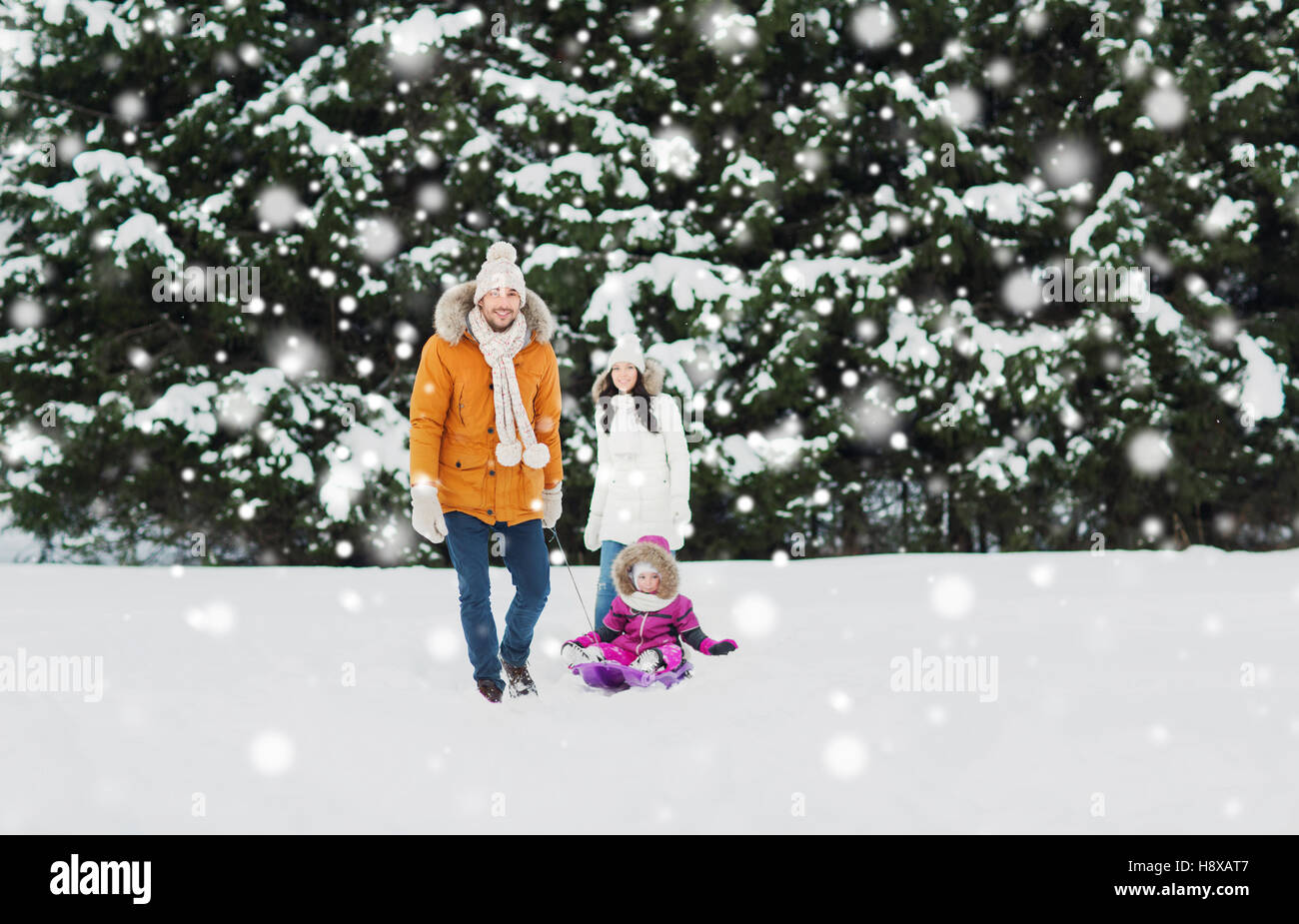 happy family with sled walking in winter forest Stock Photo - Alamy
