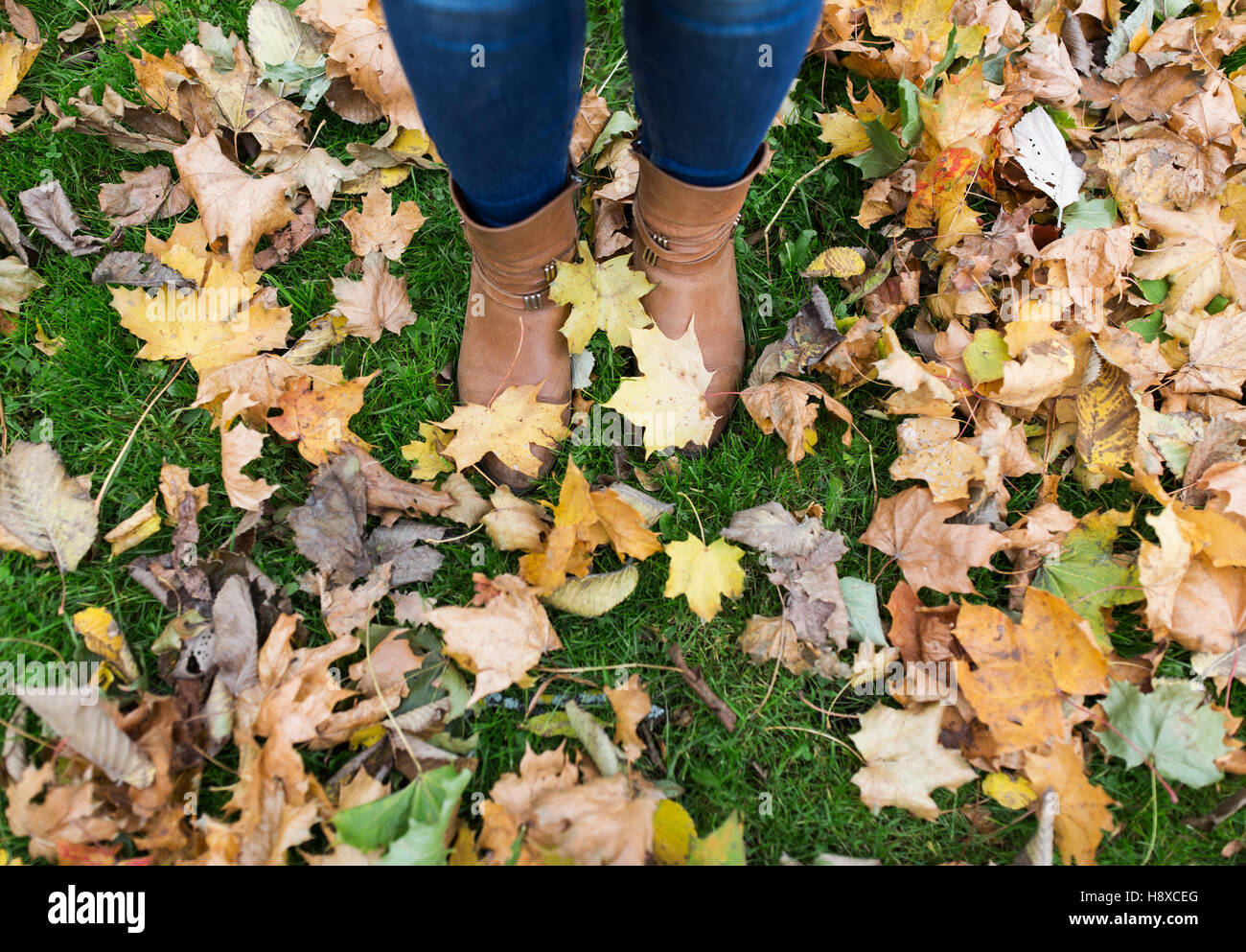 female feet in boots and autumn leaves Stock Photo - Alamy