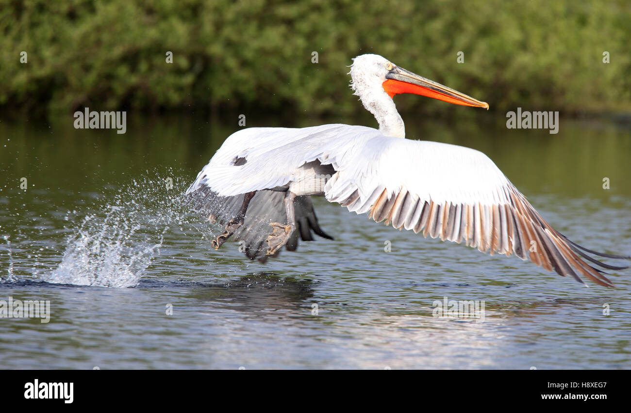 Drift Reservoir High Resolution Stock Photography and Images - Alamy