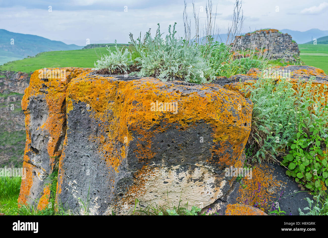The colorful rocks with lichen, moss, grass and wildflowers, Saro, Georgia. Stock Photo