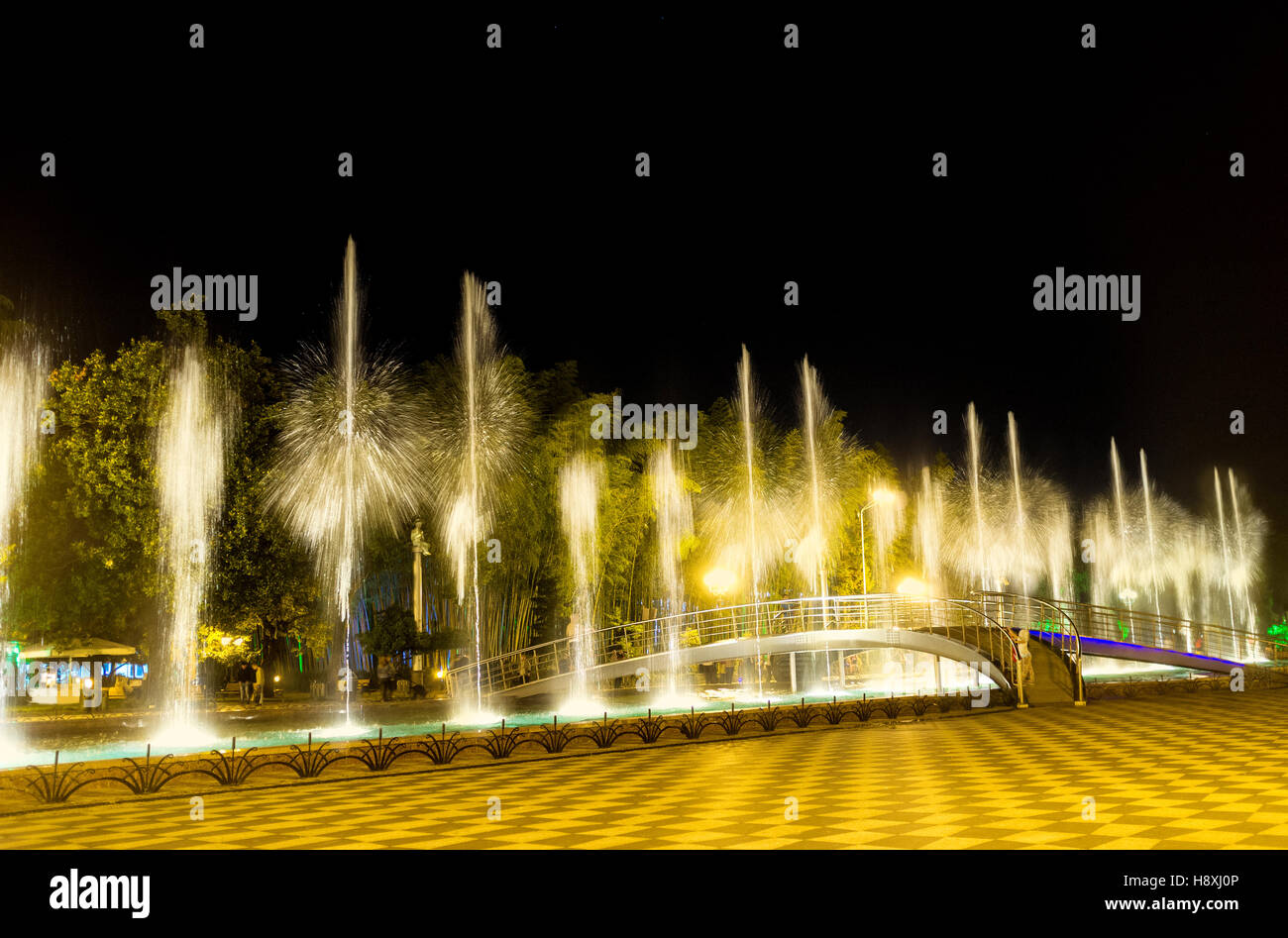 The dancing fountains created the figures, looking like the palm trees, during the show in Seaside Park, Batumi, Georgia. Stock Photo