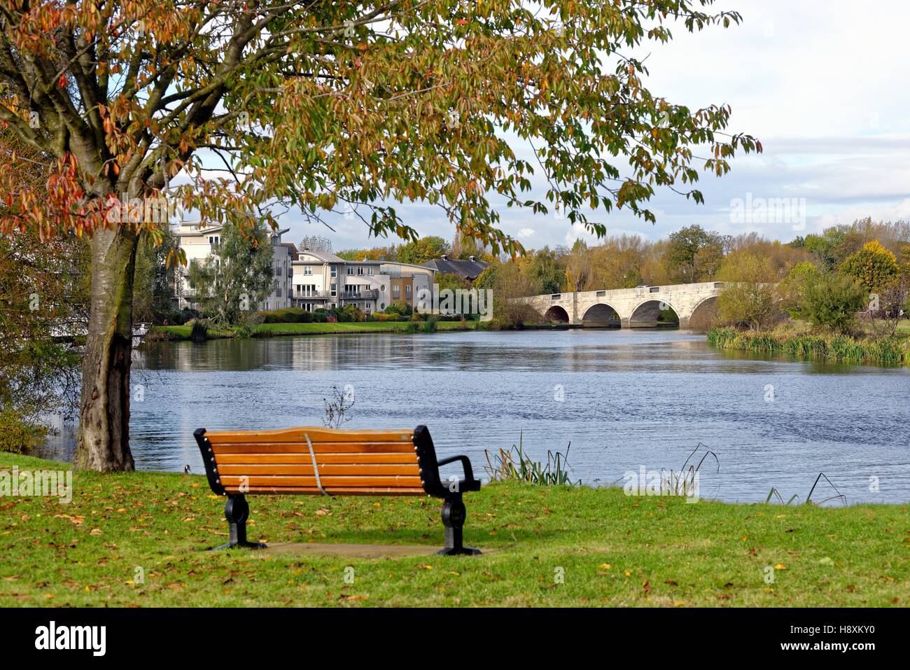 The riverside at Chertsey Surrey UK Stock Photo Alamy