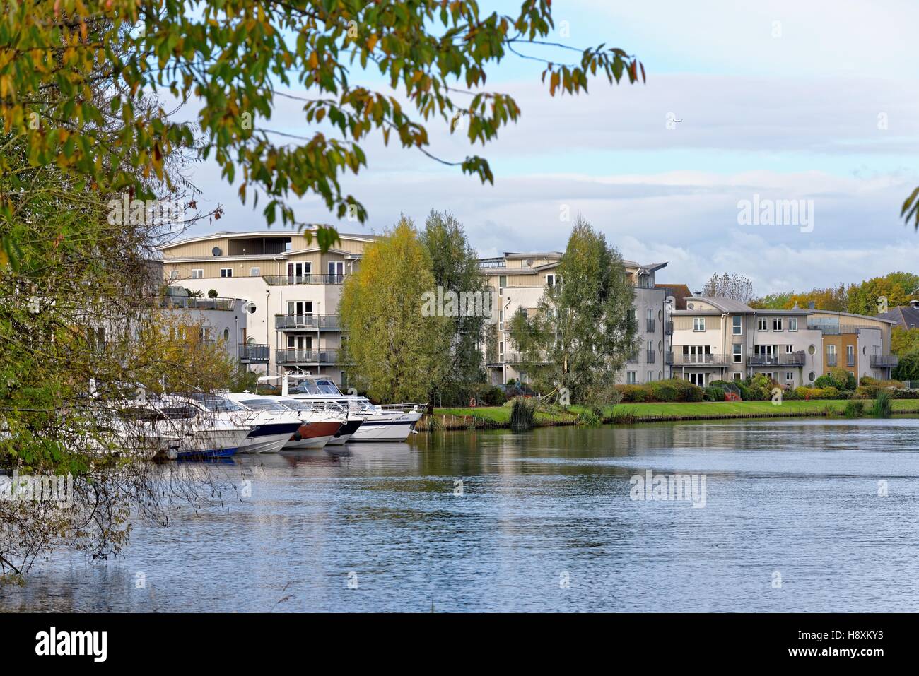 The riverside at Chertsey Surrey UK Stock Photo Alamy