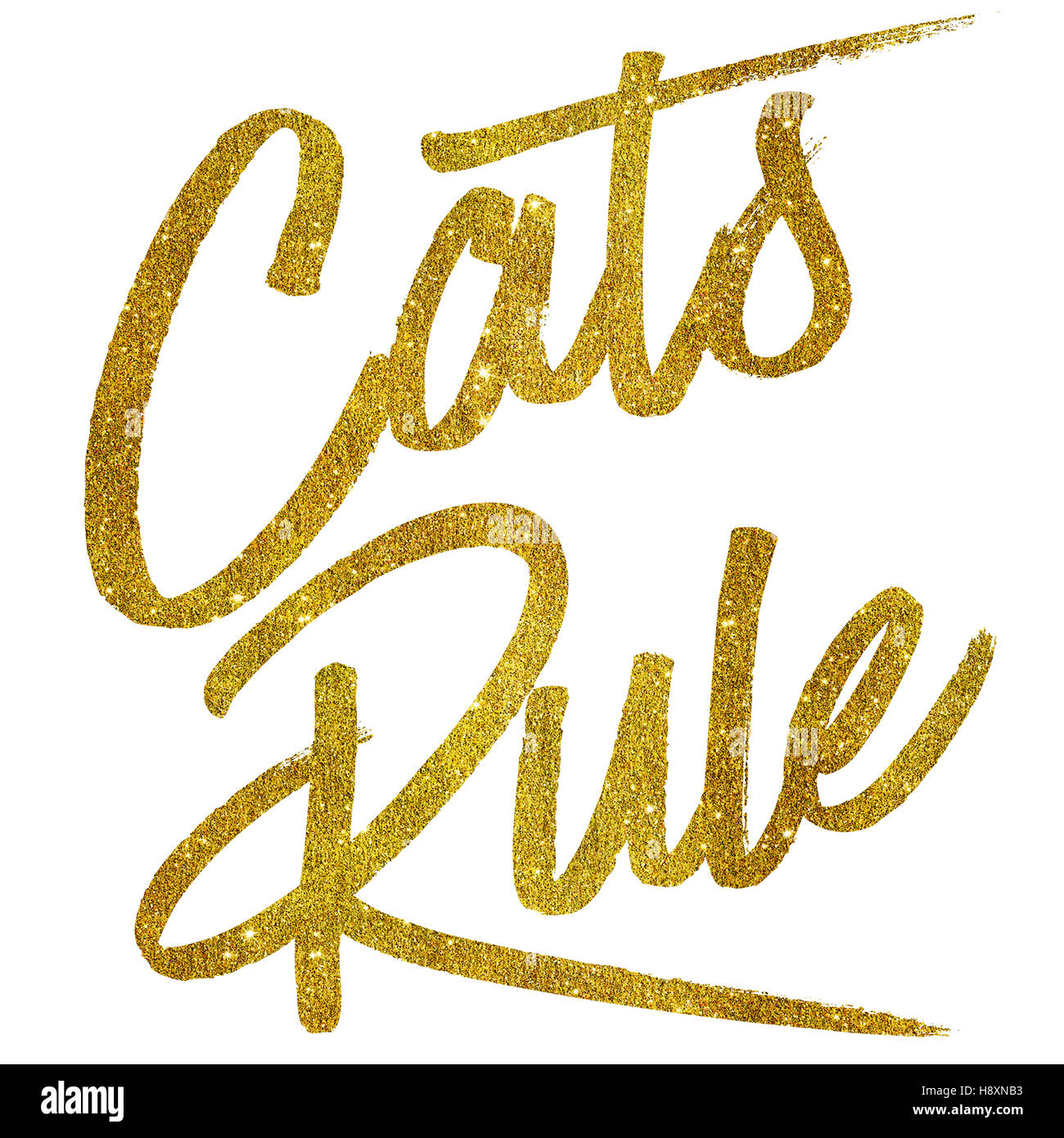Cats Rule Gold Faux Foil Metallic Glitter Quote Isolated Stock Photo