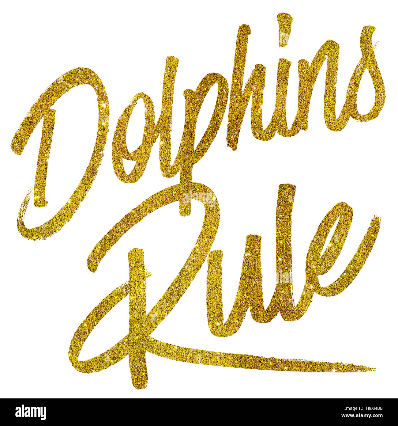 Dolphins Rule Gold Faux Foil Metallic Glitter Quote Isolated Stock Photo