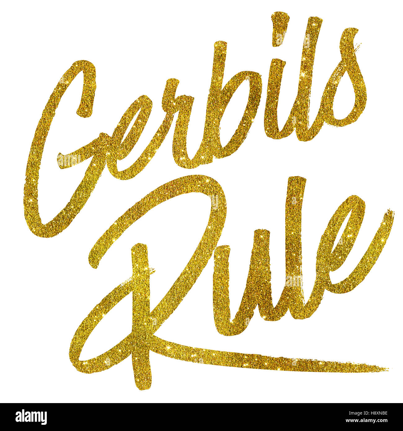 Gerbils Rule Gold Faux Foil Metallic Glitter Quote Isolated Stock Photo