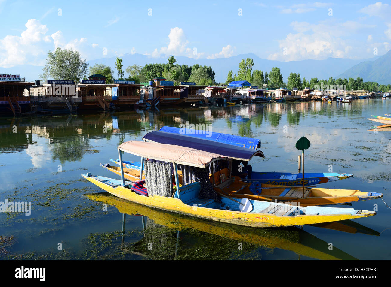 Shikara Boat ride in Dal lake of Srinagar in Kashmir valley India Stock Photo