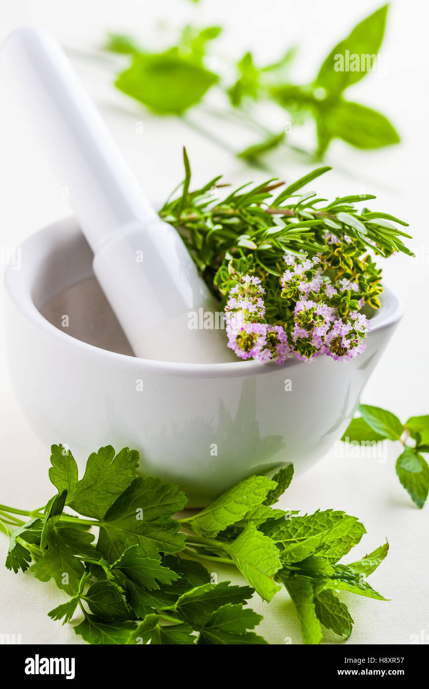 A white mortar with herbs thyme, basil, oregano, rosemary, parsley