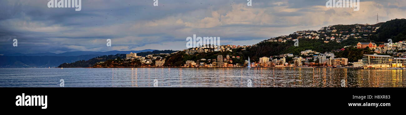 Panoramic view of Oriental Bay at sunset, Wellington, North Island, New Zealand Stock Photo