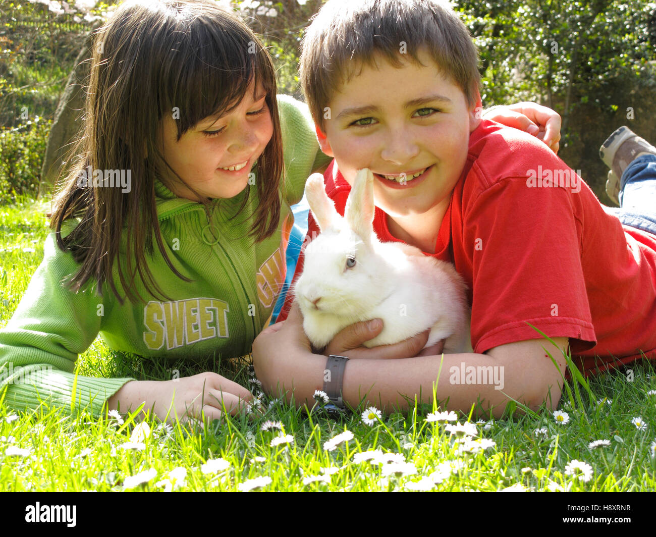 Children holding a rabbit, 8-year-old girl, 9-year-old boy Stock Photo