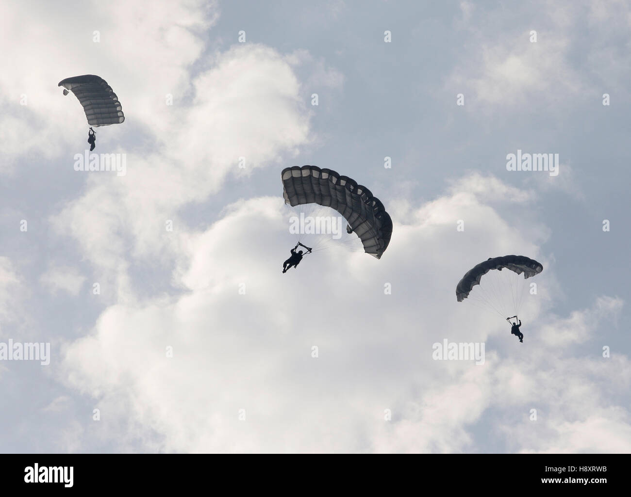 Paratroopers gliding in the air in formation with paragliders, 13th International Paratrooper Competition of the Special Stock Photo