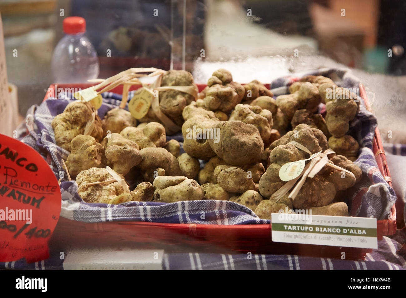 White truffles on sale during Alba White Truffle Fair in Alba, Italy