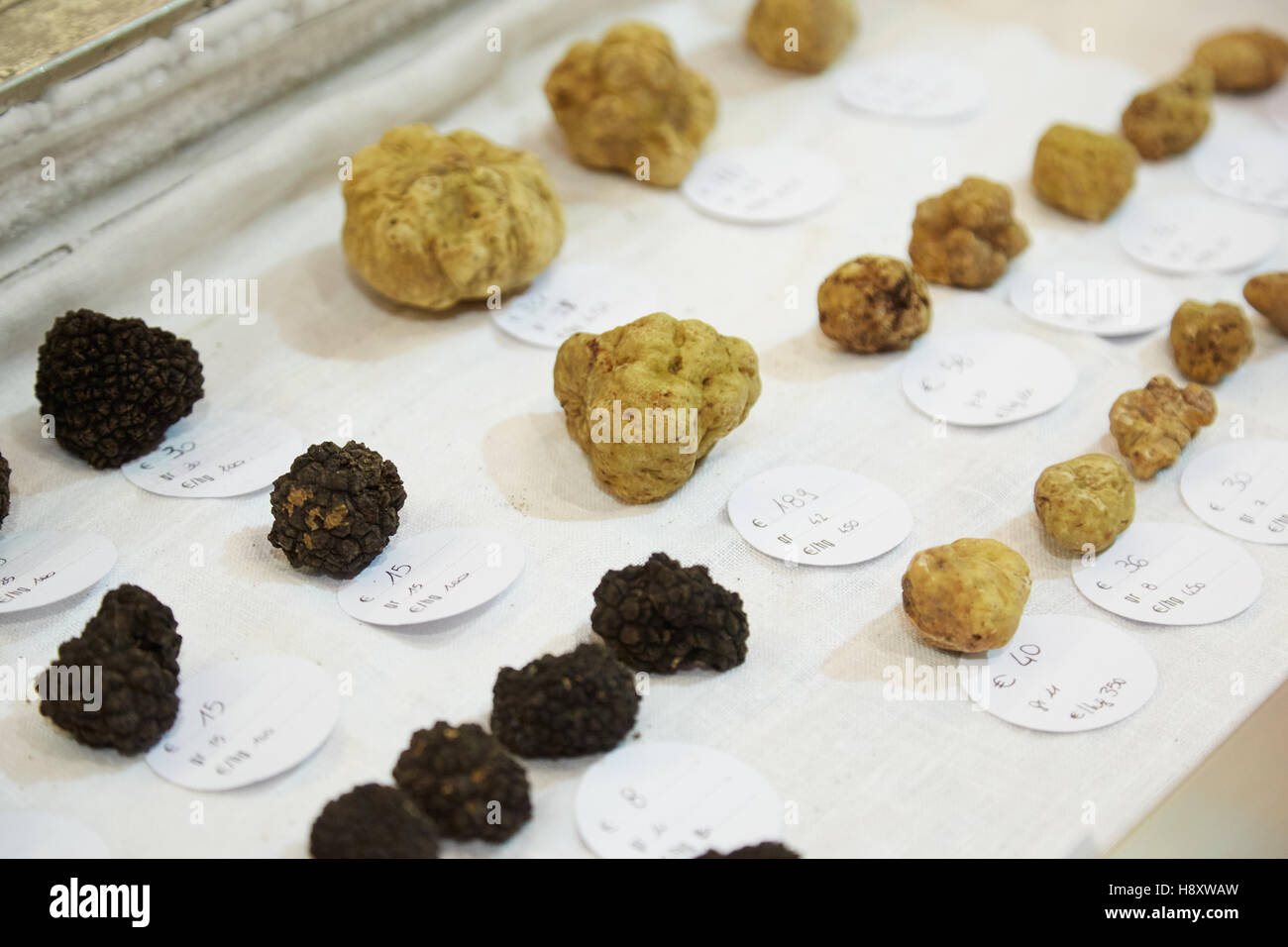 White and black truffles on sale during Alba White Truffle Fair on