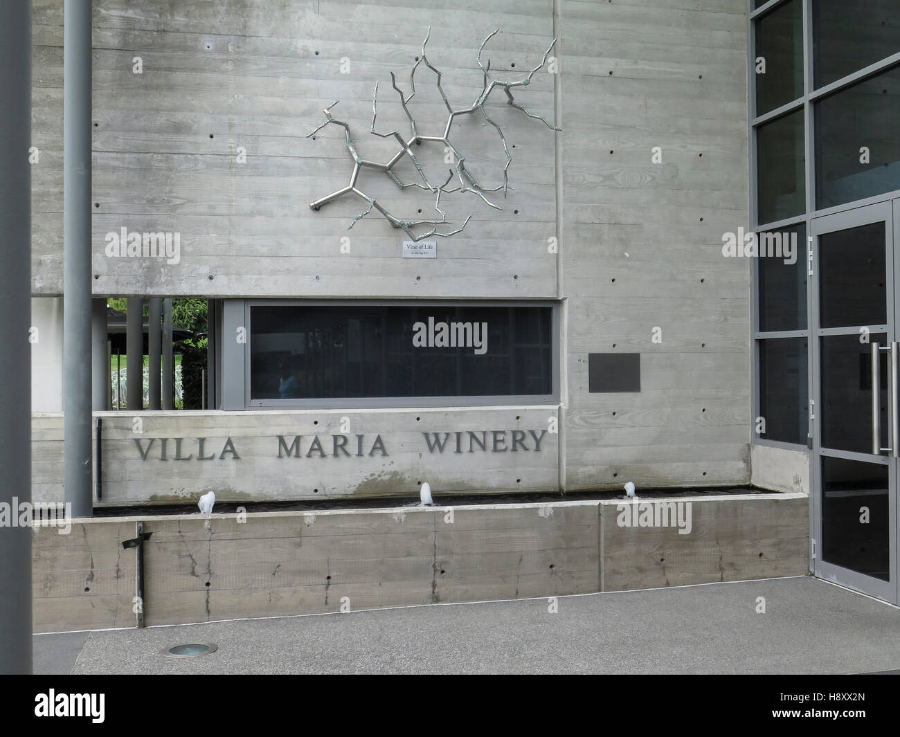 Villa Maria Winery, Auckland, North Island, New Zealand. Showing the