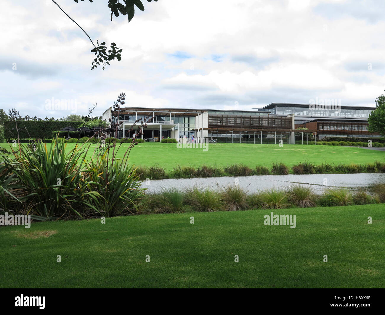 Villa Maria Winery, Auckland, North Island, New Zealand. Showing the vines with nets covering them to keep the birds away. Stock Photo