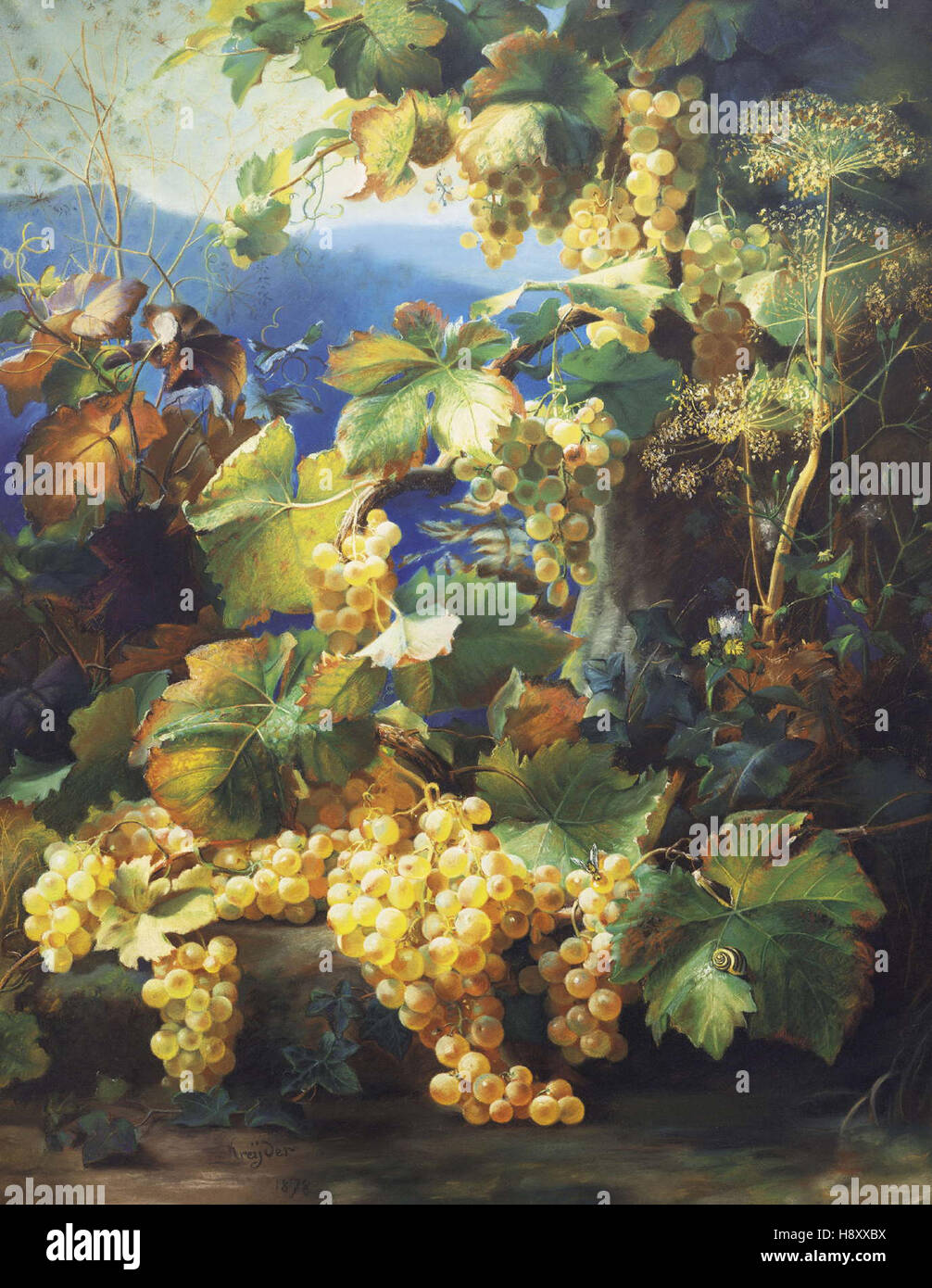 Alexis Kreyder   Still Life With Grape Nature Morte Aux Raisins Stock Photo