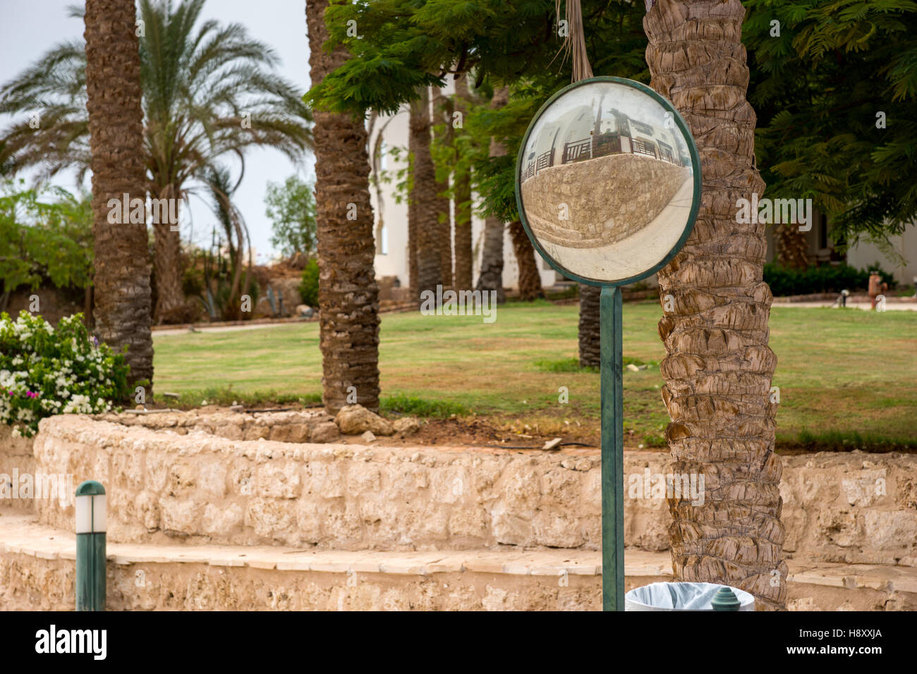 Traffic convex mirror for safety driving in front of the yard with palm trees, bushes and flowers Stock Photo