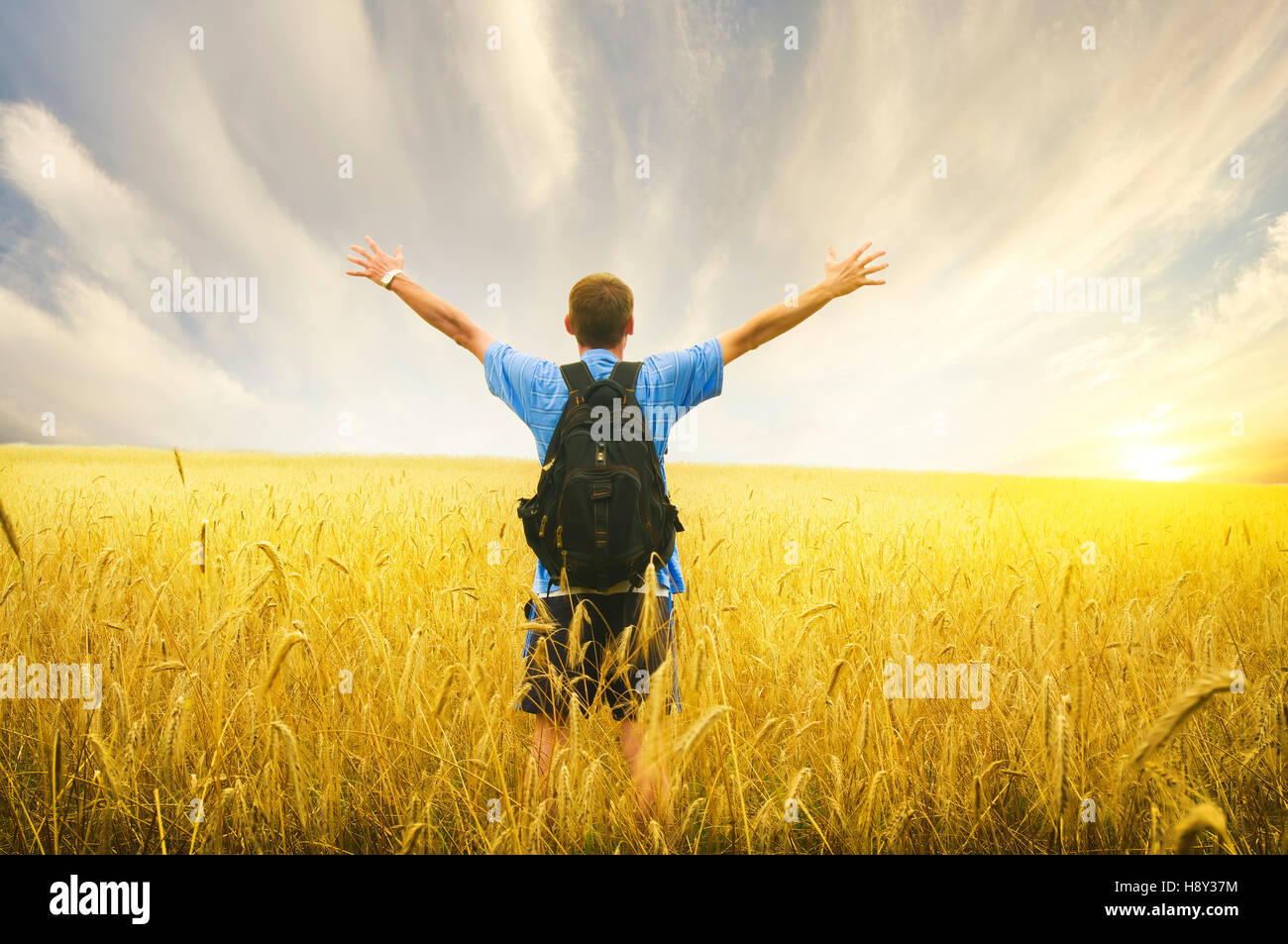 Man in yellow wheat meadow. Conceptual design. Stock Photo