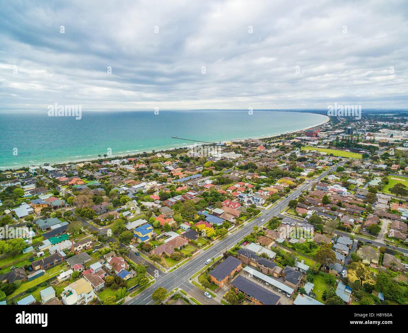 Are Dogs Allowed At Frankston Beach