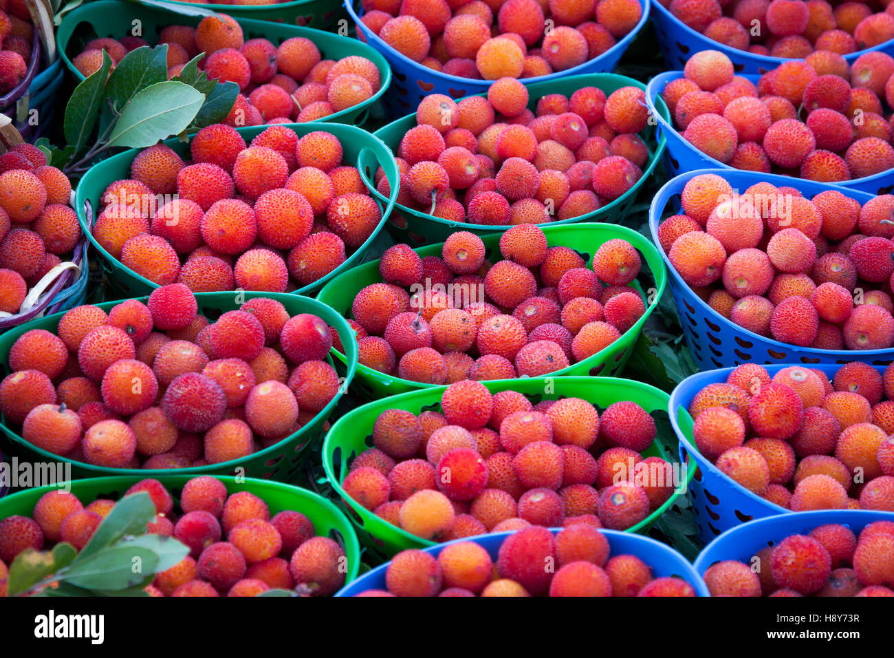 Bowls of red fruit in Fès, Morocco Stock Photo