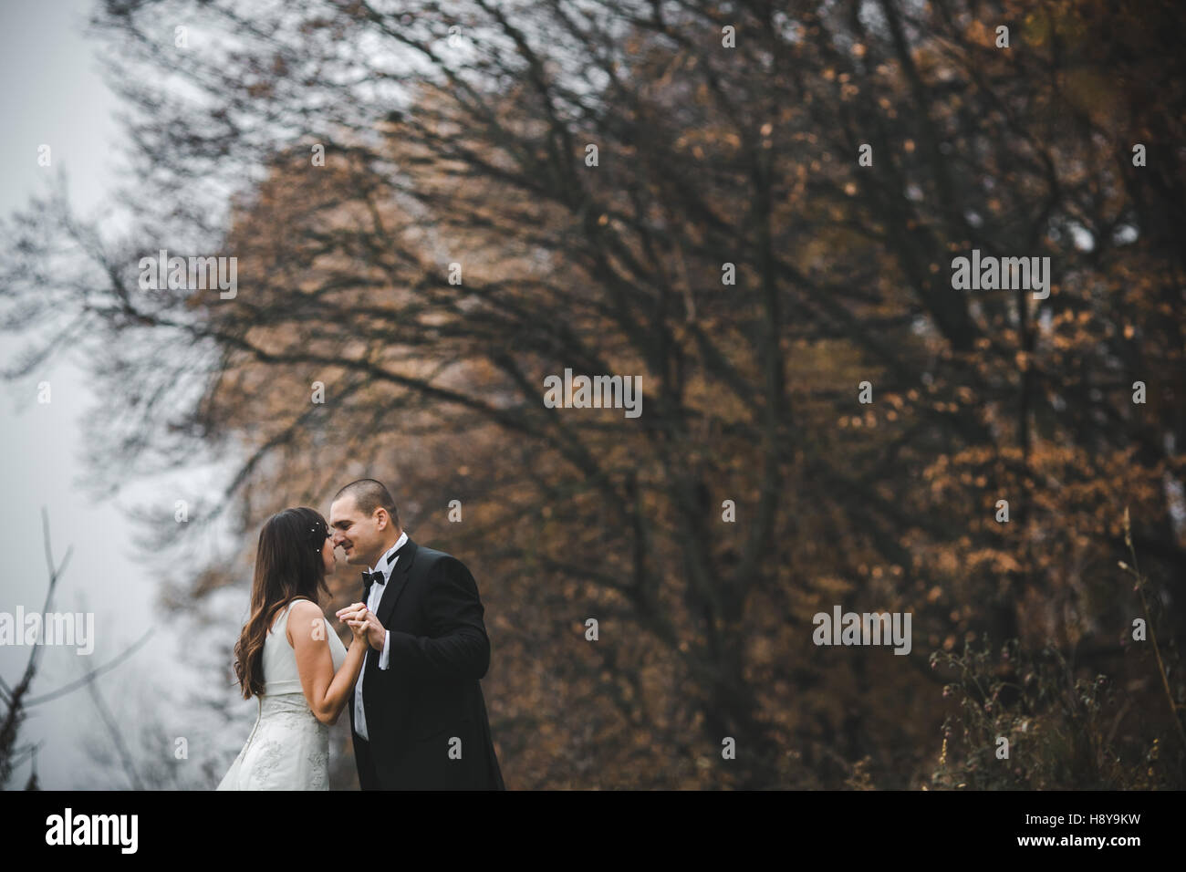 happy bride and groom posing in the autumn forest Stock Photo - Alamy