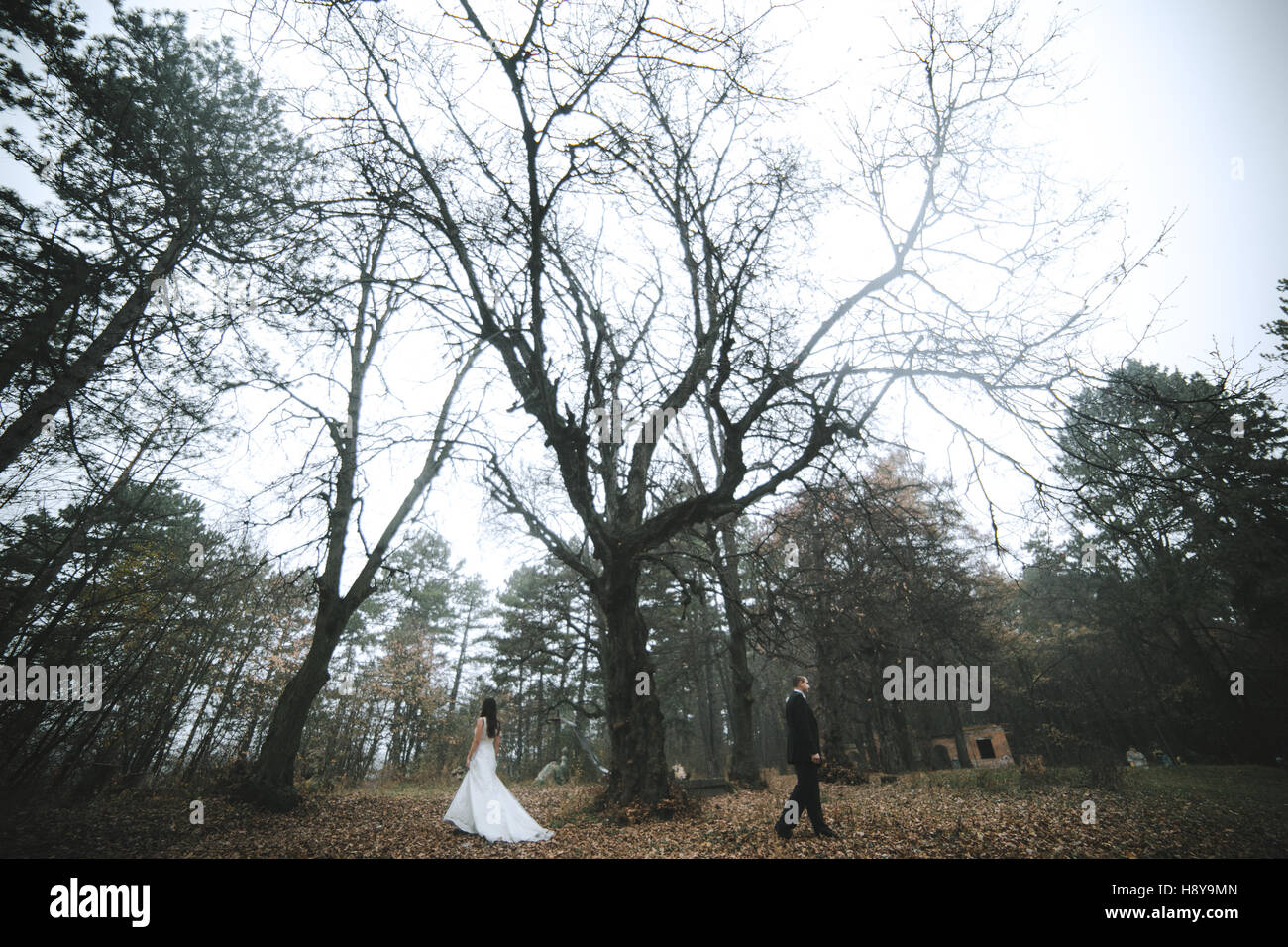 happy bride and groom posing in the autumn forest Stock Photo - Alamy
