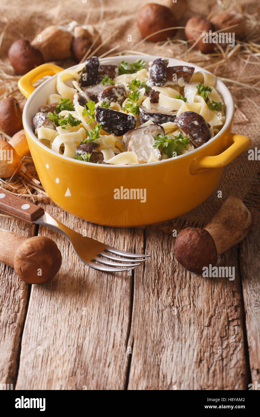 Fettuccine pasta with porcini mushrooms and cream sauce closeup in a