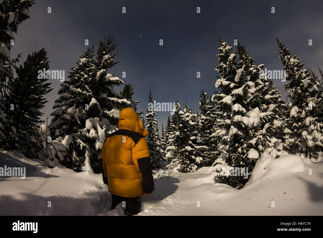 The man in the yellow jacket in winter forest among the trees in the