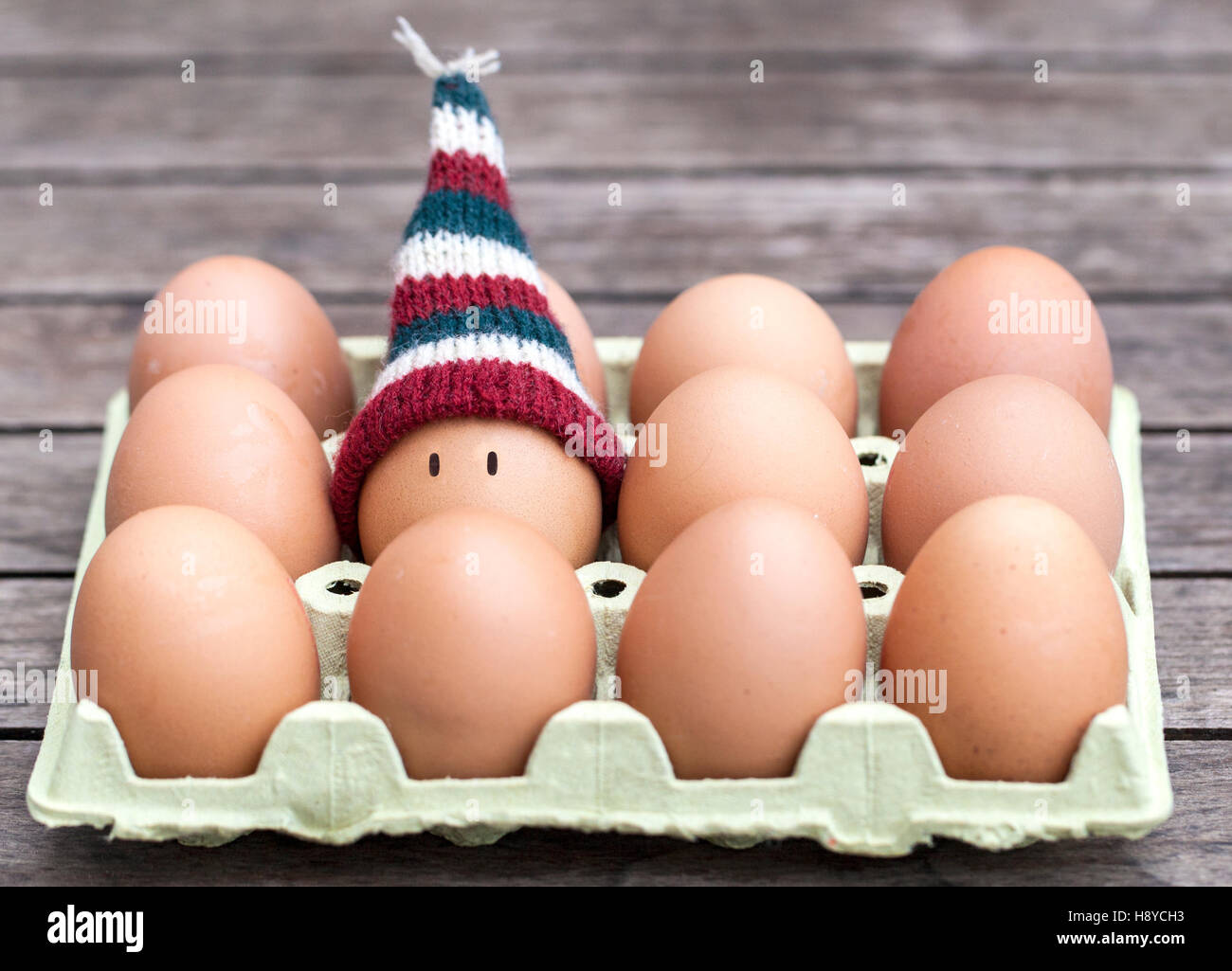 Egg wearing a knitted hat souronded by brown eggs. Stock Photo