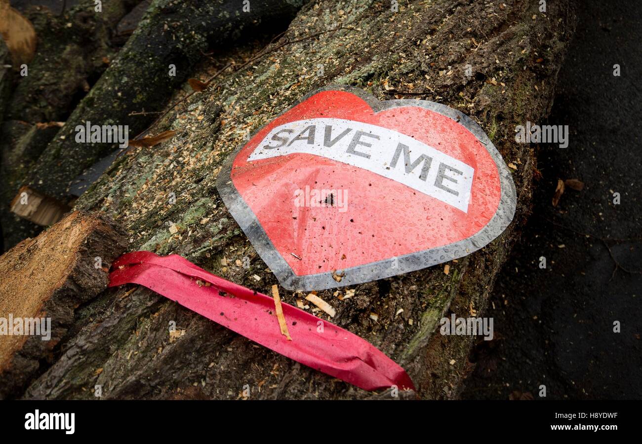 Sheffield trees cutting hi-res stock photography and images - Alamy