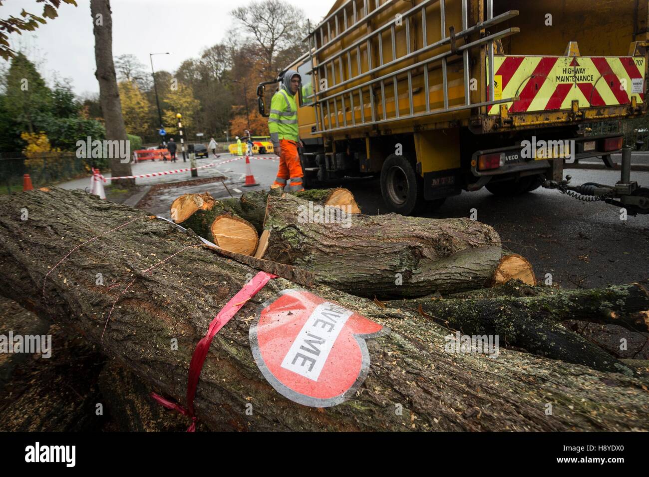 Sheffield trees cutting hi-res stock photography and images - Alamy