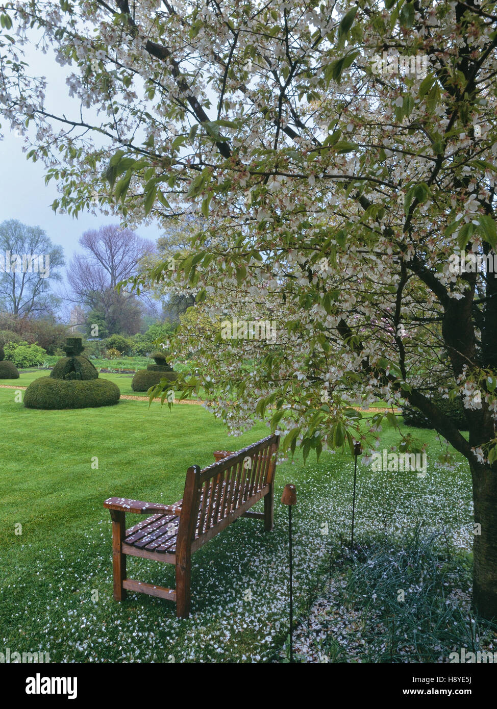 The Manor Gardens. Hemingford Grey Manor. Huntingdon. England. UK Stock