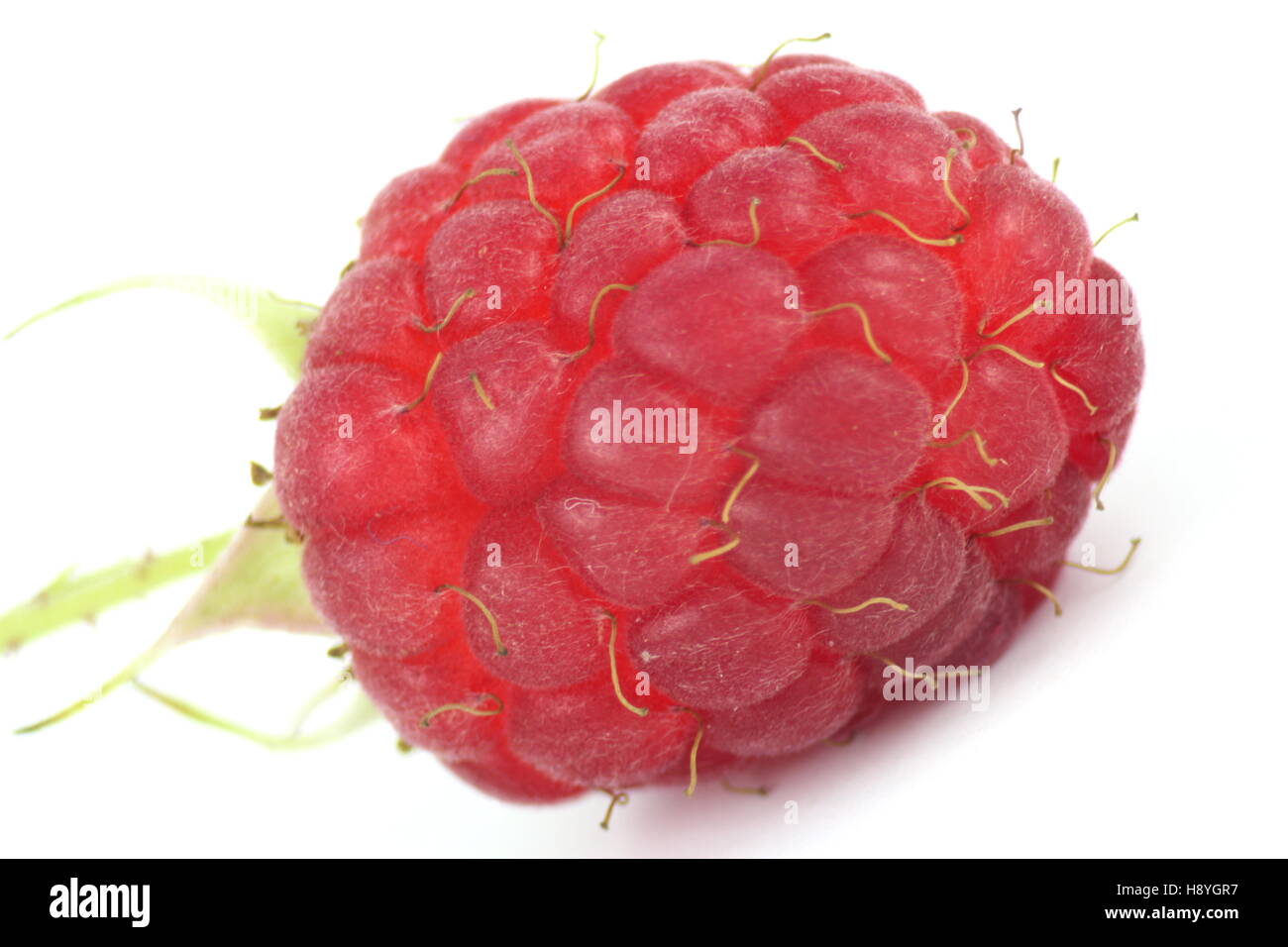 red raspberry closeup and isolated Stock Photo - Alamy