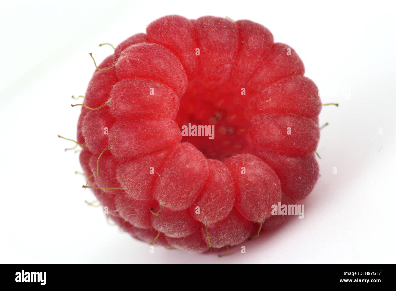 red raspberry closeup and isolated Stock Photo - Alamy