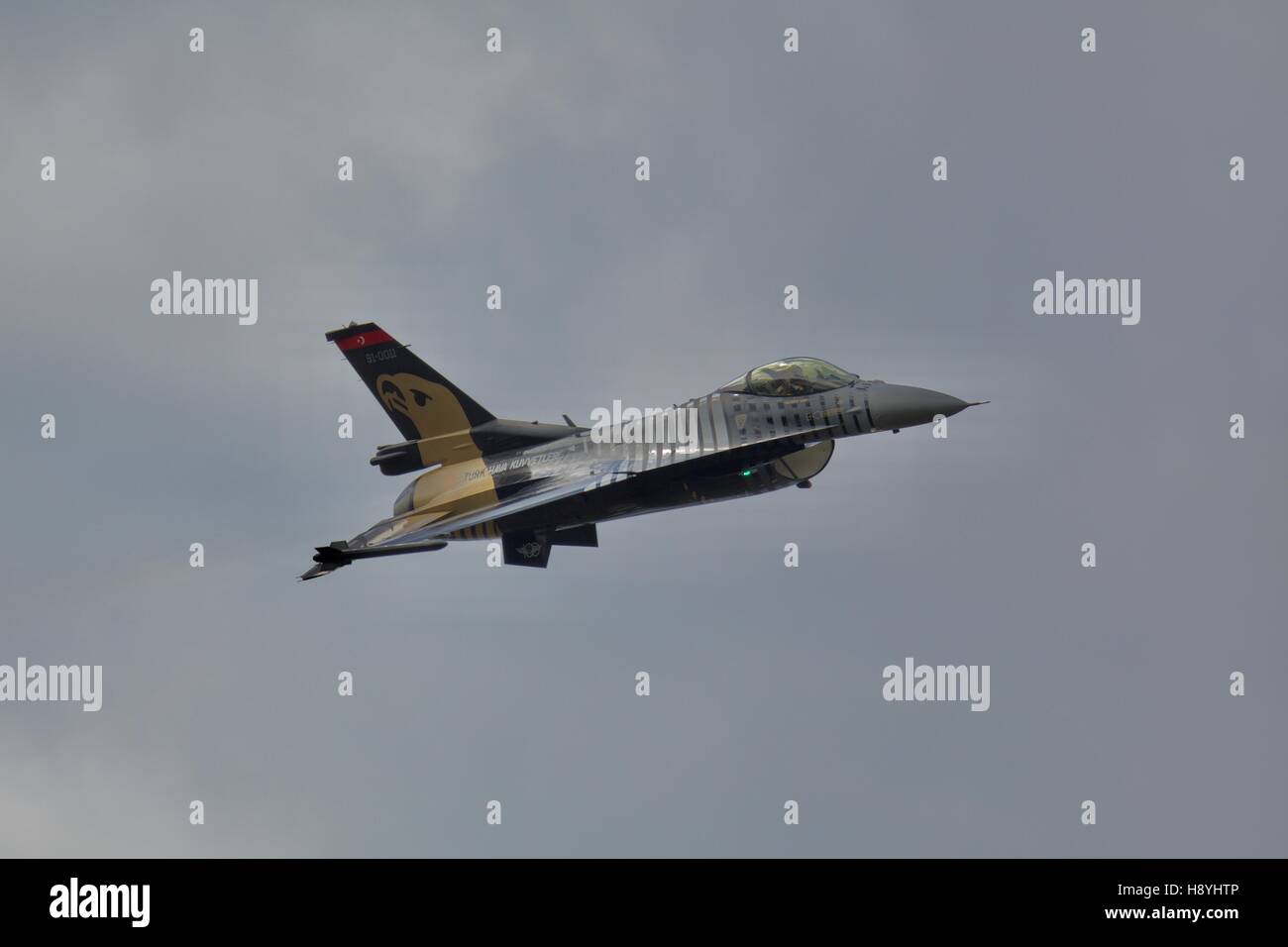 Multi falcon hi-res stock photography and images - Alamy