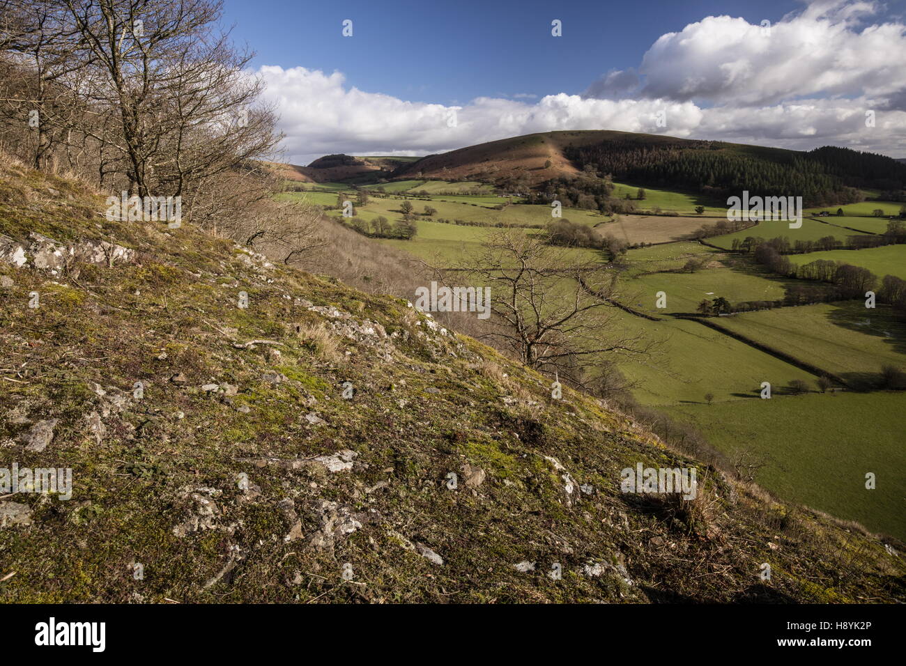 Exposures of gabbro / dolerite igneous rock at Stanner Rocks National Nature Reserve,  Powys Stock Photo