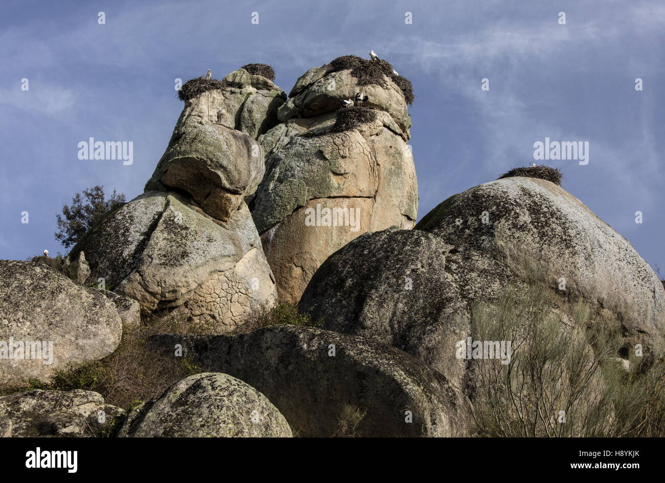 White Stork nests on granite boulders at Los Barruecos Natural Monument, Extremadura, West Spain. Stock Photo