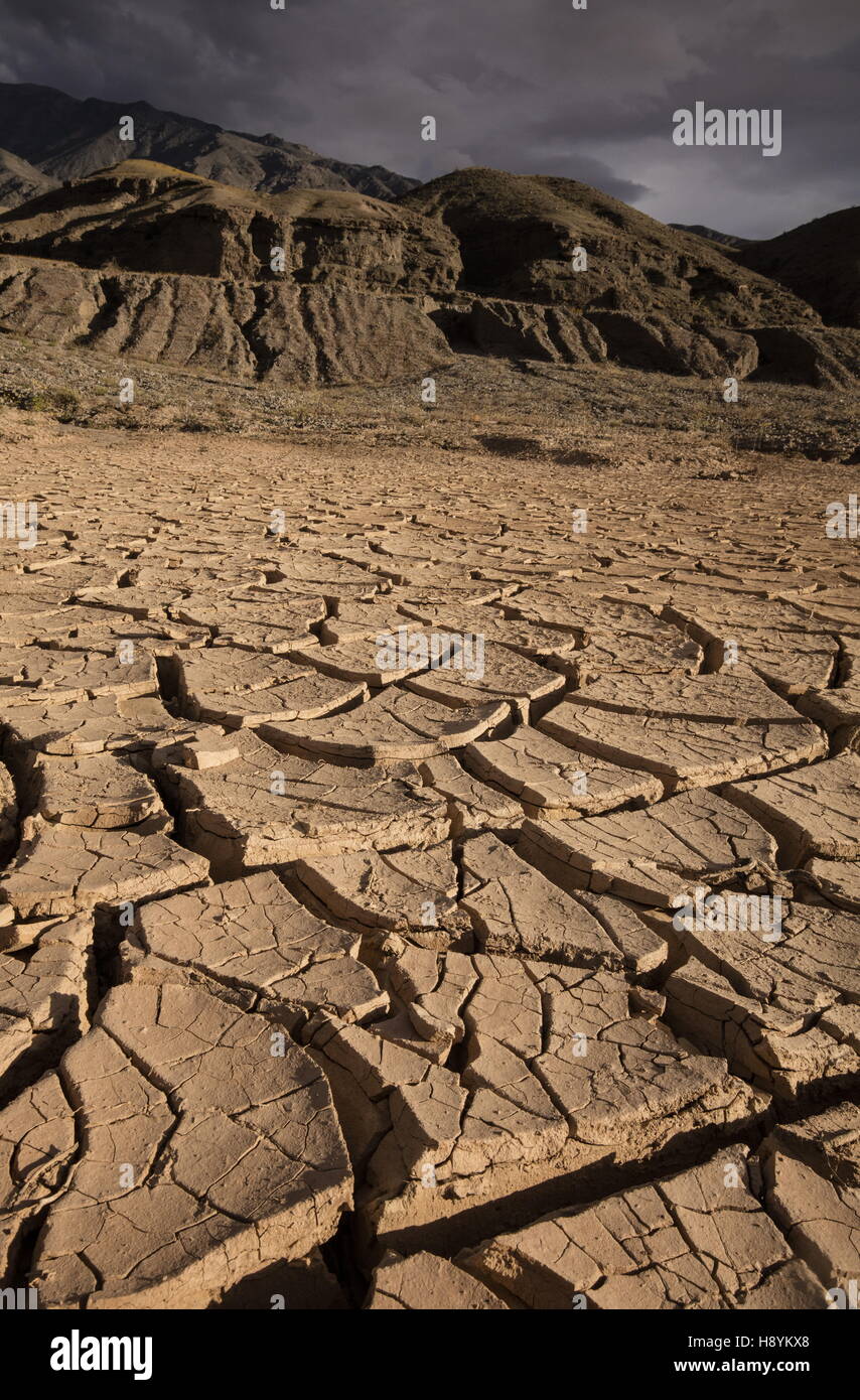 Mud cracking in drying lake after heavy rain in Death Valley, California. Stock Photo