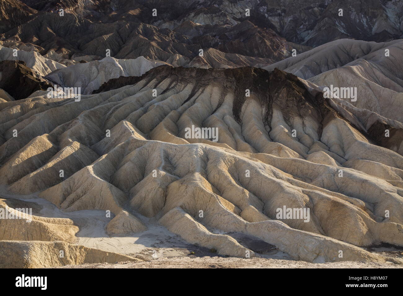Eroding volcanic ash and silt hills, badlands, at Zabriskie Point, Death Valley National Park, California. Superb example of dry Stock Photo
