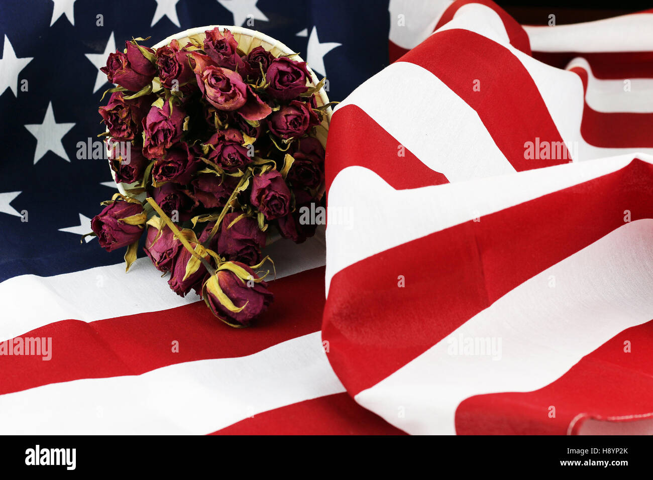 US flag rose flower Stock Photo Alamy