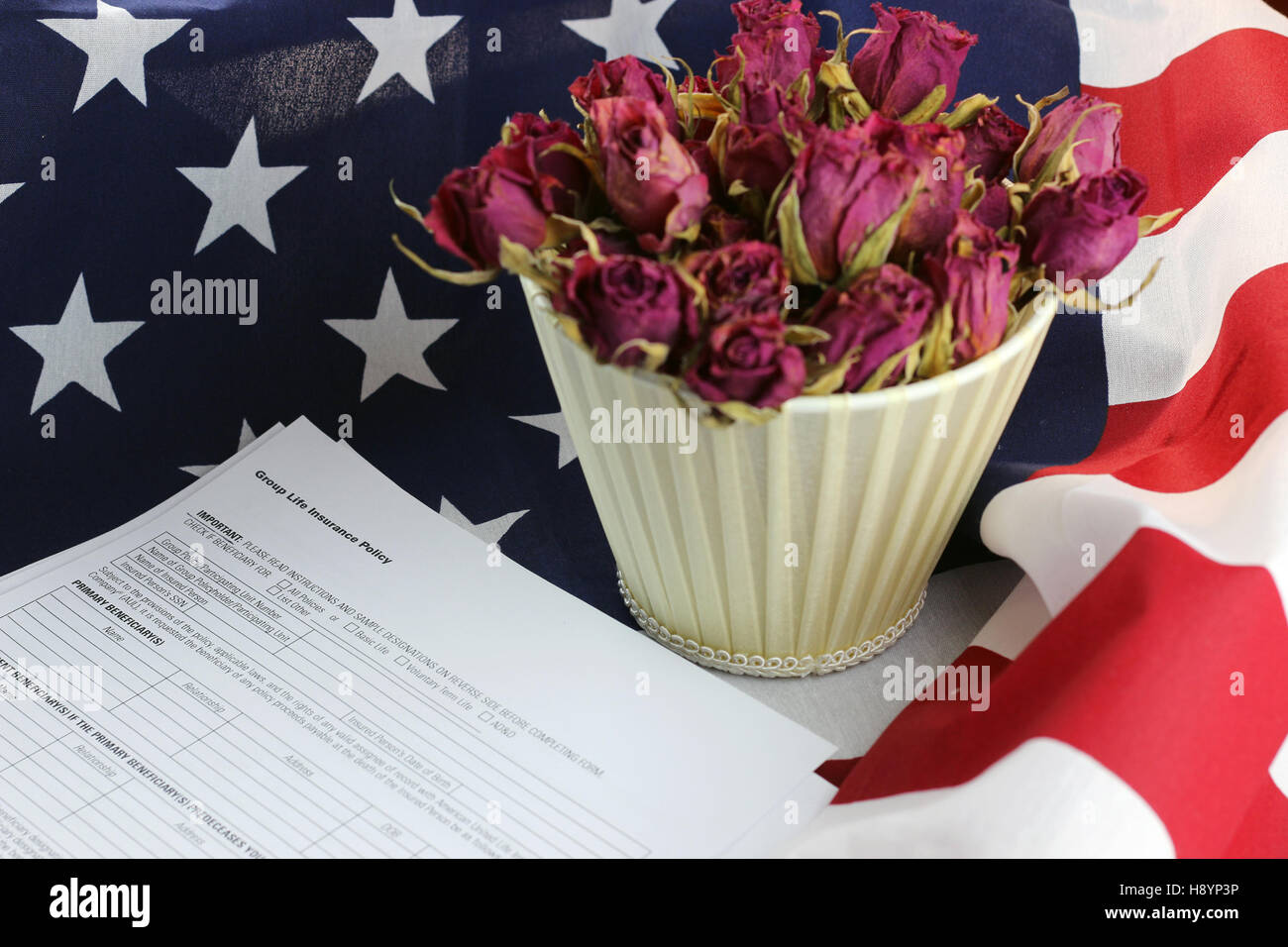 US flag rose flower Stock Photo Alamy