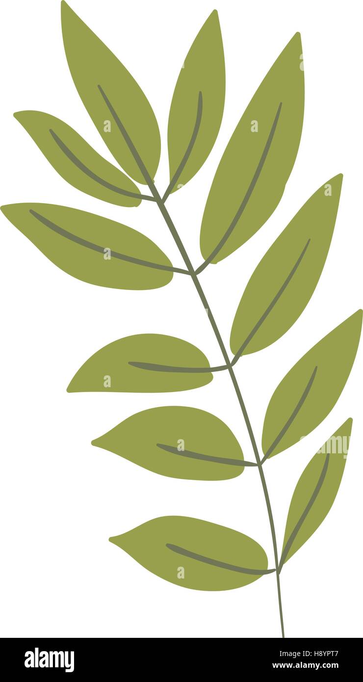 Leaf icon. Decoration rustic garden floral nature plant and spring ...