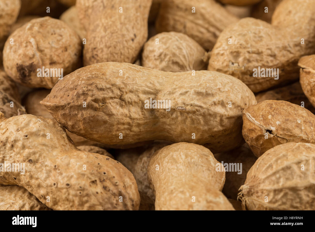 Pile of peanuts shells close up for background Stock Photo Alamy