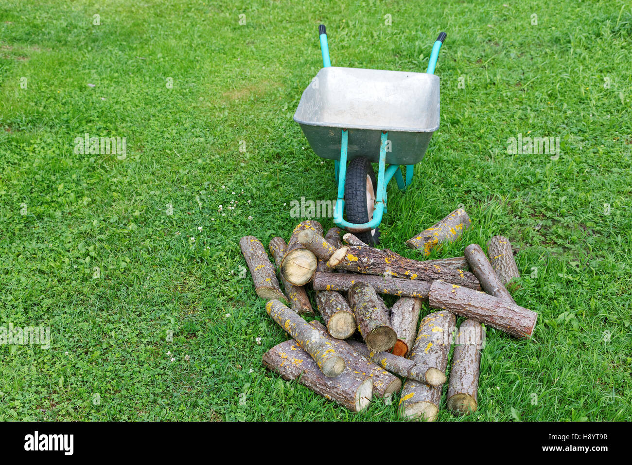 hand truck with firewood on the green grass Stock Photo Alamy