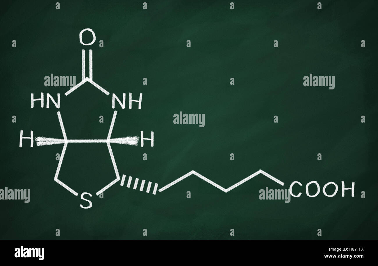 Structural model of Vitamin B6 (Biotin) on the blackboard. Stock Photo