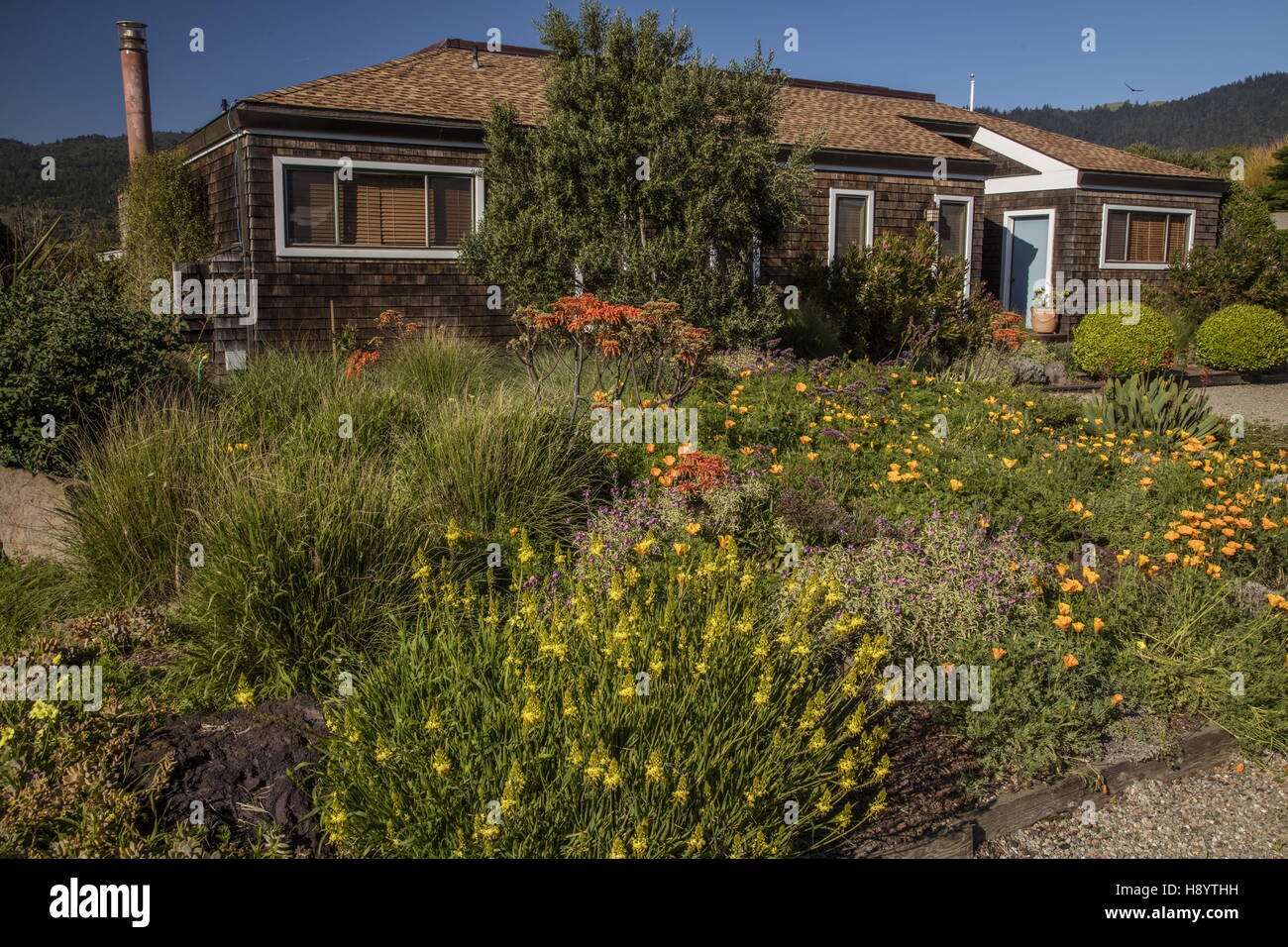 Mediterranean-style garden at Stinson Beach, Marin county, California. Stock Photo