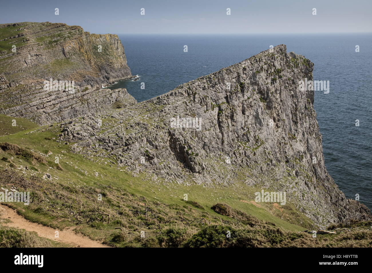 The south coast limestone cliffs of the Gower Peninsula, near Mewslade Bay; Gower Peninsula AONB, South Wales. Stock Photo