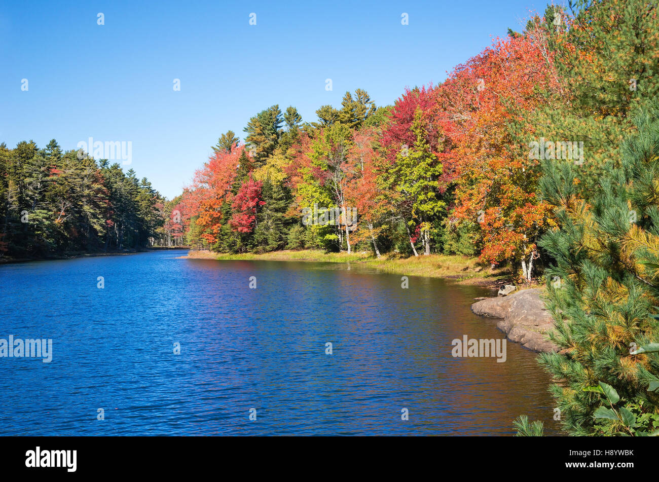 Colorful autumn trees by a lake Stock Photo - Alamy